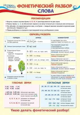 Плакат А3 "Фонетический разбор слова" (без упаковки)