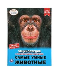 Энциклопедия. Самые умные животные
