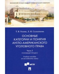 Основные категории и понятия англо-американского уголовного права. Часть 3. Уголовный процесс