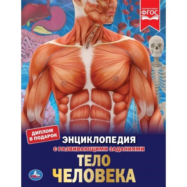 Энциклопедия. Секреты тела человека