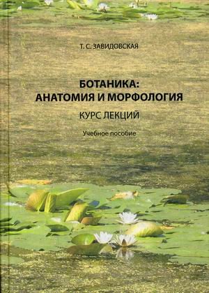 Ботаника: анатомия и морфология. Курс лекций. Учебное пособие