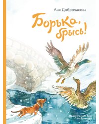 Борька, брысь!