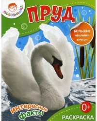Пруд. Интересные факты. Раскраска + большие наклейки внутри