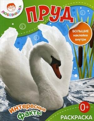 Пруд. Интересные факты. Раскраска + большие наклейки внутри