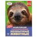 Необычные животные. Энциклопедия