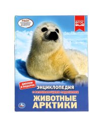 Животные Арктики. Энциклопедия
