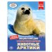 Обложка книги «Животные Арктики. Энциклопедия», ISBN 9785506043119
