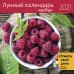 Обложка книги «Лунный календарь садовода. Календарь-органайзер на 2021 год», ISBN 9785001411208