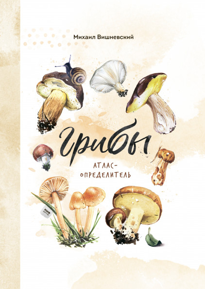 Детство 5-12 Грибы. Атлас-определитель