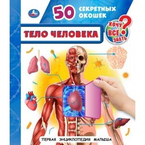 Тело человека. 50 секретных окошек. Первая энциклопедия малыша