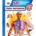 Тело человека. 50 секретных окошек. Первая энциклопедия малыша
