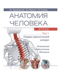 Анатомия человека. Том 1. Остеология, артросиндесмология, миология. Атлас