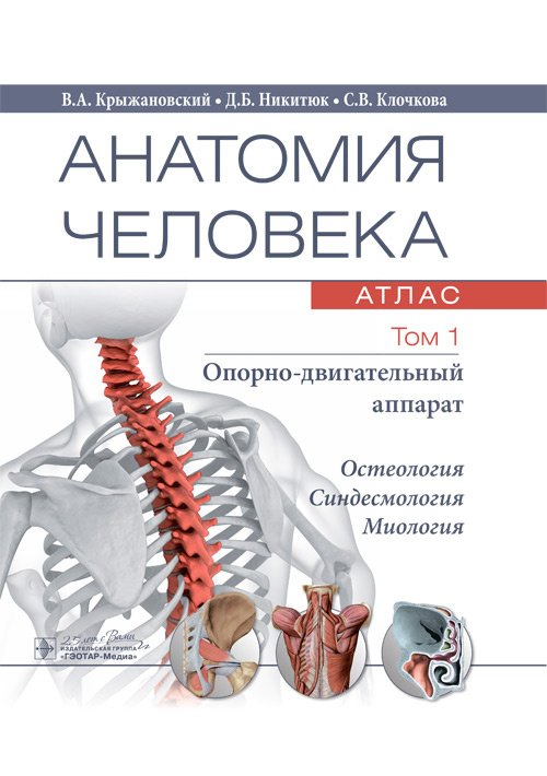 Анатомия человека. Том 1. Остеология, артросиндесмология, миология. Атлас