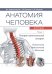 Анатомия человека. Том 1. Остеология, артросиндесмология, миология. Атлас