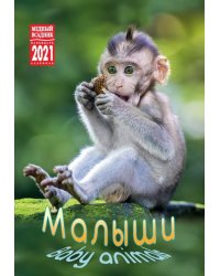 Календарь на 2021 год "Малыши" (КР21-21027)