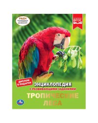 Тропические леса