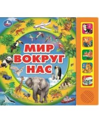 Мир вокруг нас