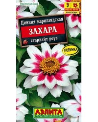 Семена. Цинния "Захара старлайт роуз", однолетник (5 штук)