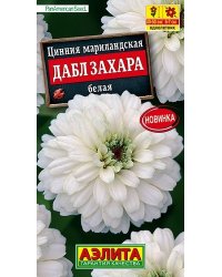 Семена. Цинния "Дабл Захара белая", однолетник (5 штук)