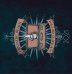 Обложка книги «Фантастические твари и где они обитают. Календарь настенный на 2021 год», ISBN 9785041113636