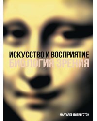 Искусство и восприятие. Биология зрения