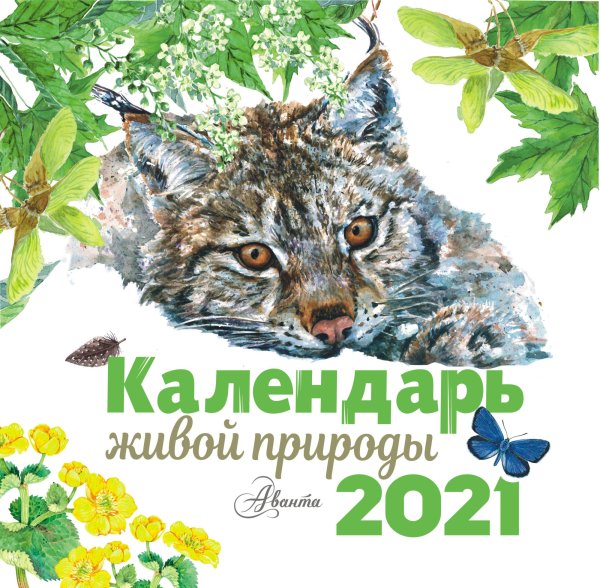 Обложка книги «Календарь живой природы 2021» — Бианки В.В., Сладков Н.И., Пришвин М.М., ISBN 9785171221706