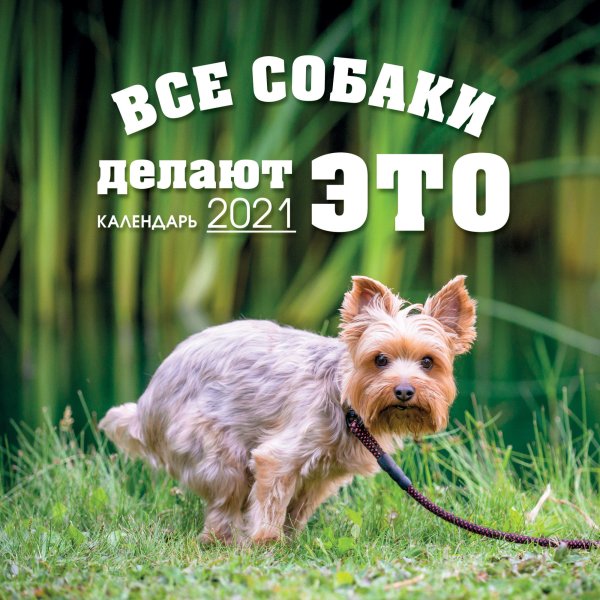 Обложка книги «Все собаки делают ЭТО. Календарь настенный на 2021 год», ISBN 9785041113964
