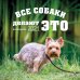Обложка книги «Все собаки делают ЭТО. Календарь настенный на 2021 год», ISBN 9785041113964