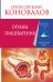Органы пищеварения. Информационно-Энергетическое Учение. Начальный курс