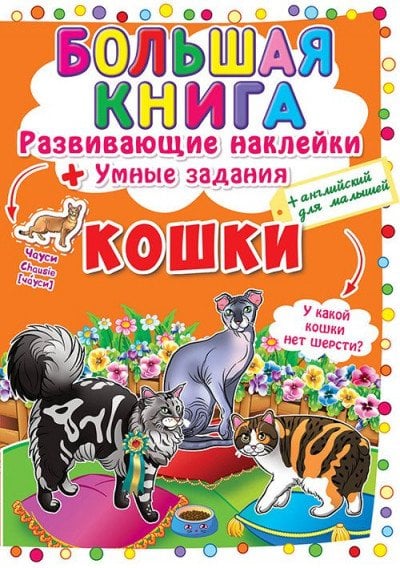 Кошки