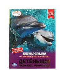 Детеныши морских животных