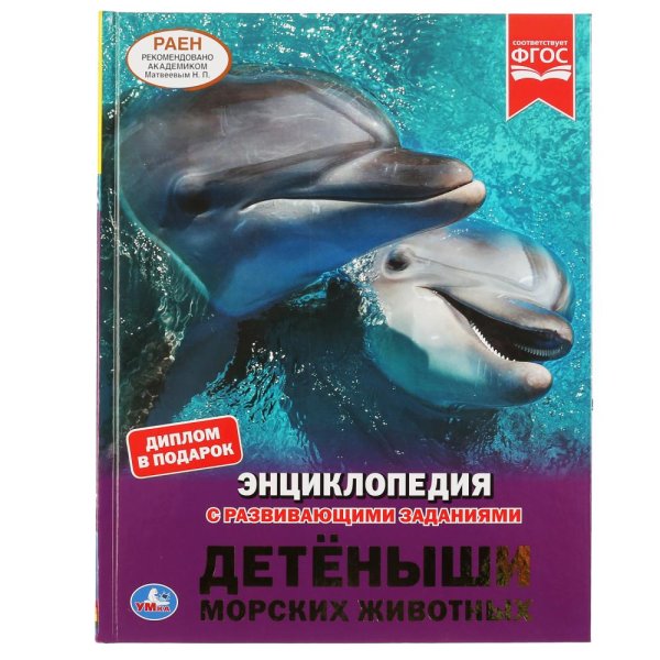 Детеныши морских животных