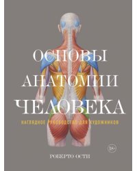 Основы анатомии человека. Наглядное руководство для художников
