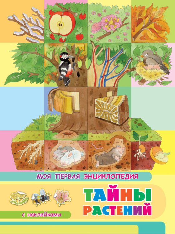 Обо всем в картинках Книжка с наклейками. Моя первая энциклопедия. Тайны растений