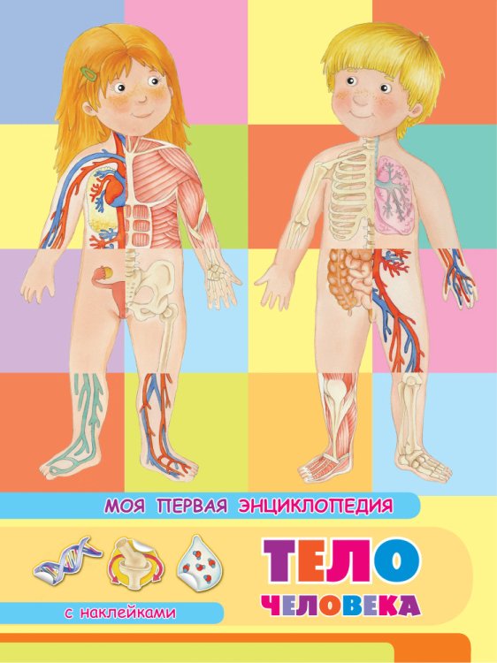 Обо всем в картинках Книжка с наклейками. Моя первая энциклопедия. Тело человека