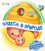 Обложка книги «Чудеса в природе» — Солнышко Ирина, ISBN 4627155272968
