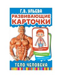 Карточки развивающие "Тело человека" (32 карточки)