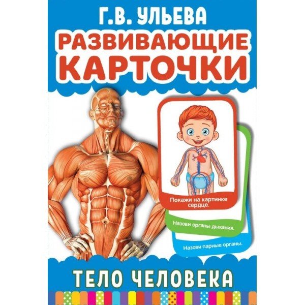 Карточки развивающие "Тело человека" (32 карточки)