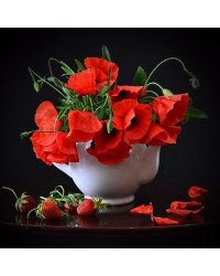 Картина мозаикой "Алые маки", 30х30 см, 29 цветов