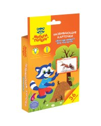 Развивающие карточки "Кто где живет? Кто что ест?", 36 штук