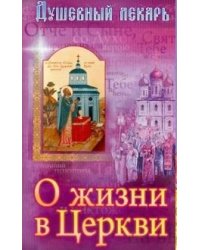 Душевный лекарь. О жизни в церкви