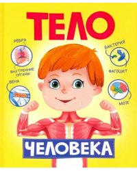 Тело человека
