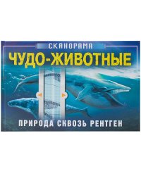 Природа сквозь рентген. Чудо-животные