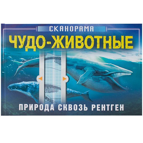 Природа сквозь рентген. Чудо-животные