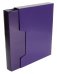 Папка с 100 прозрачными вкладышами "Бюрократ. DeLuxe", цвет: черничный в коробе, A4, арт. DLVBOX100BBERRY