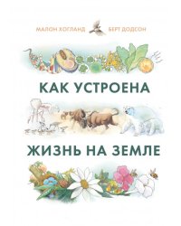 Как устроена жизнь на Земле