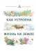 Как устроена жизнь на Земле