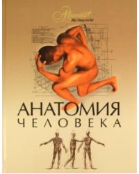 Анатомия человека