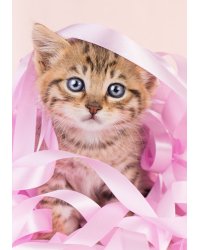 Алмазная мозаика "Котенок в розовых лентах", классическая (20 цветов), 20х30 см