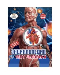 Тело человека